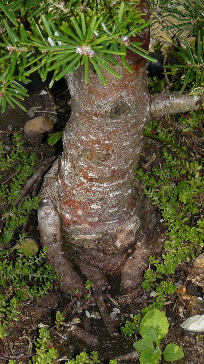 cond td vk cj 27 09 21 027