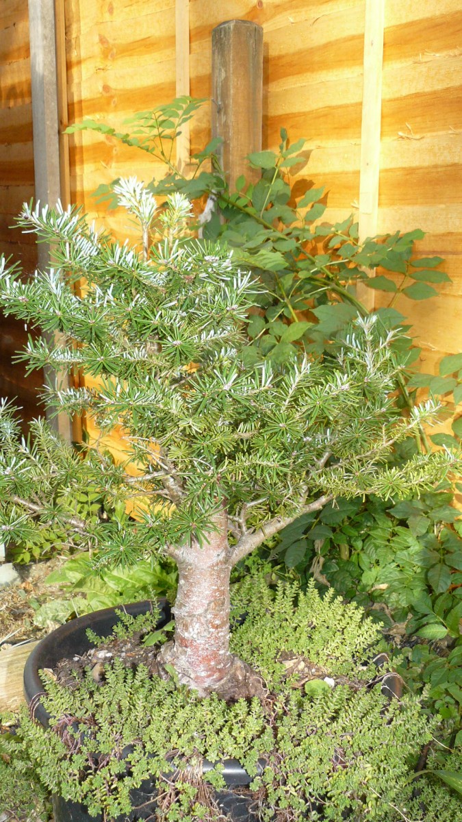 cond td vk cj 27 09 21 032