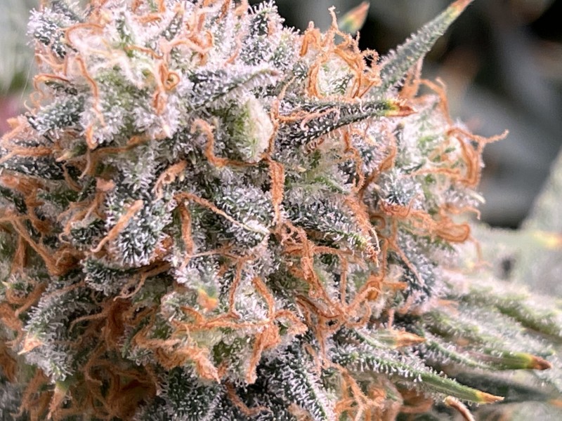 E0761061-0DE0-438E-9FAC-DE8B51A715A0