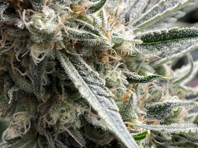 3D3785D4-2E8D-4171-BAF4-9382C5C93B43