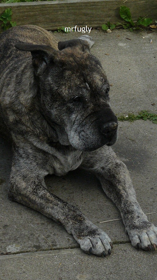 cond td vk cj 27 09 21 022