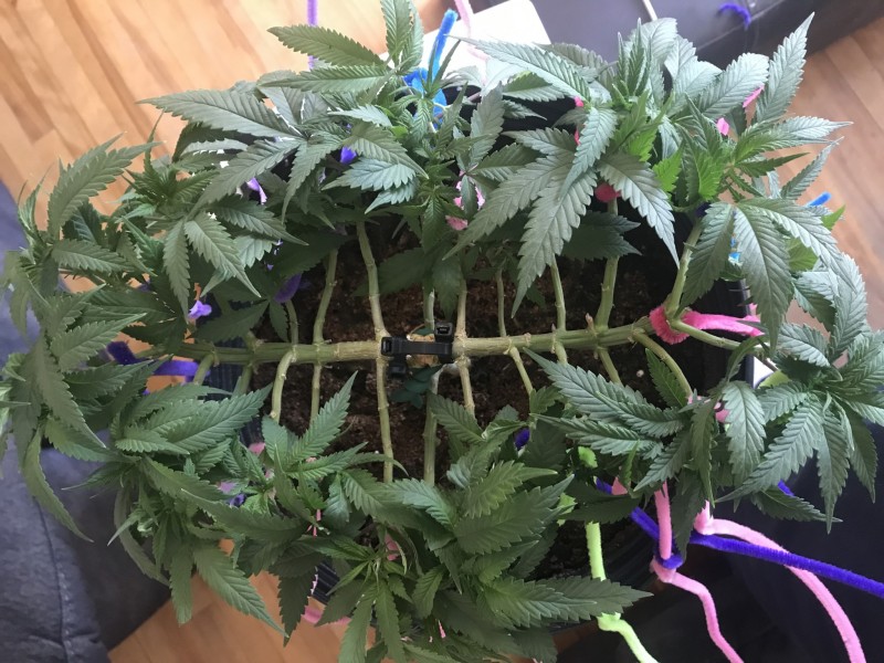 54FC9798-07E1-46E8-B44E-A56FECEBDABA