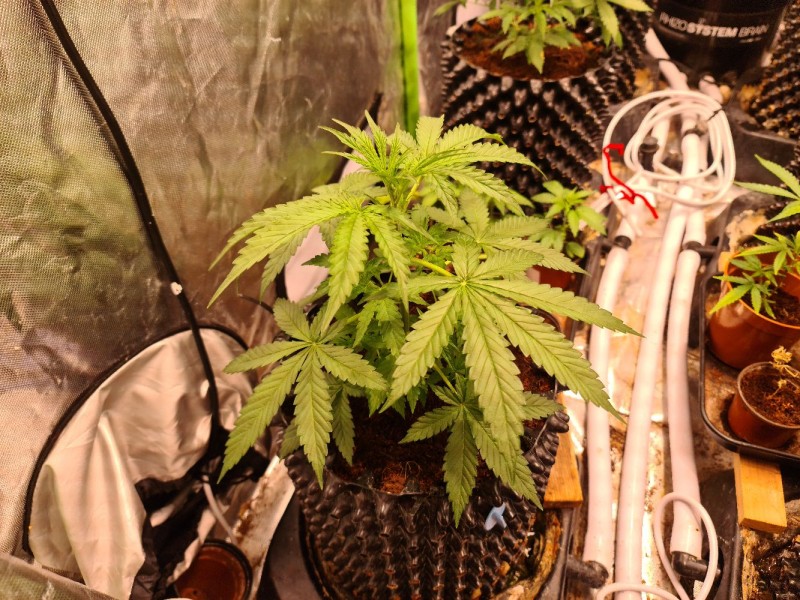 20210928_220621_compress45