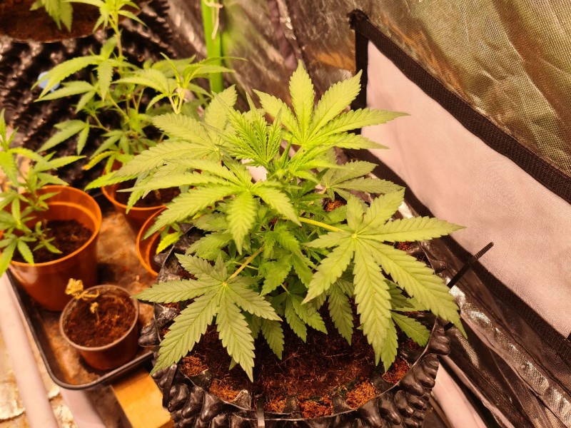 20210928_220629_compress44