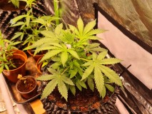 20210928_220629_compress44