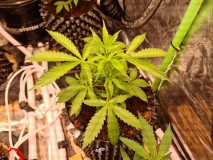 20210928_220642_compress89