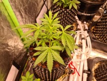 20210928_220647_compress53