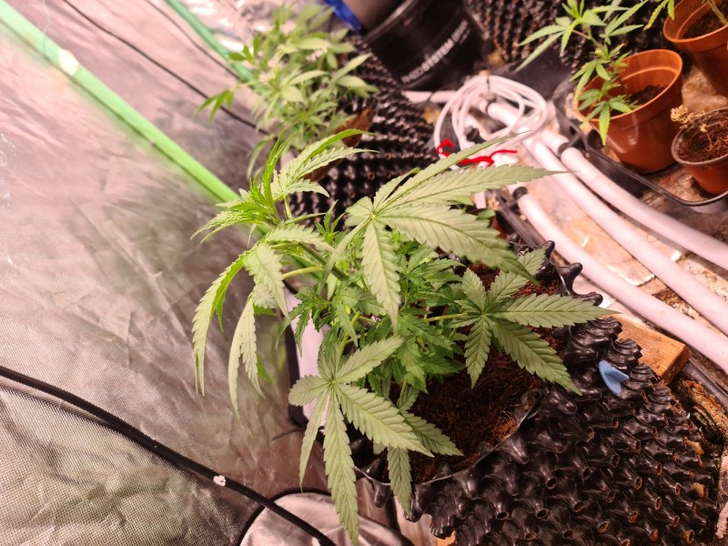 20210928_220657_compress15