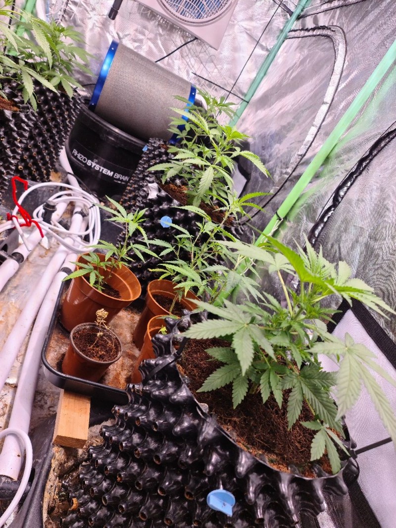 20210928_220706_compress11