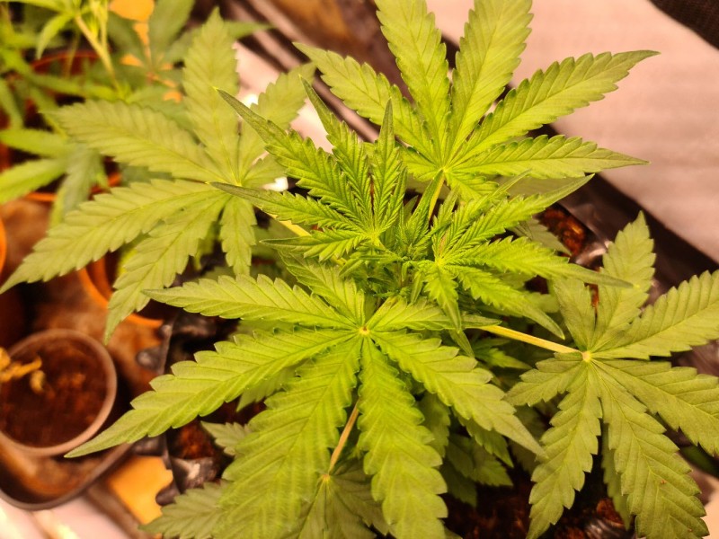 20210928_220730_compress88