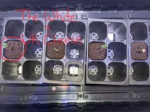 1F525EC9-5F7F-4CEF-9312-E9FF9537D800