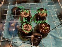 0F35AC5B-0C9D-4BF4-B31E-448F3121D039