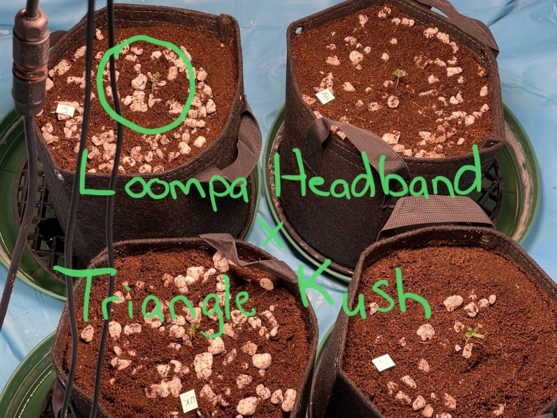 16ED34F1-2DBD-471A-90D3-89118F562077