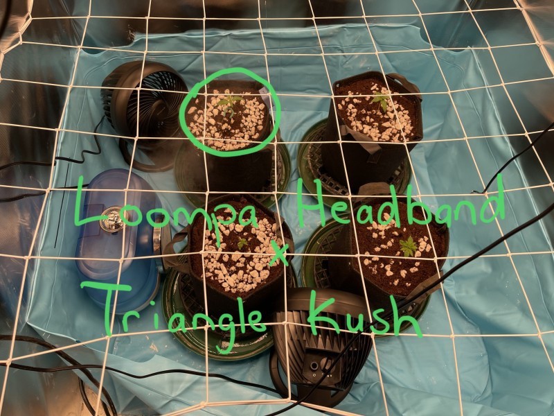 7CBCB8BD-AD5D-4257-B135-E507728918CB