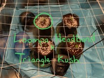 7CBCB8BD-AD5D-4257-B135-E507728918CB