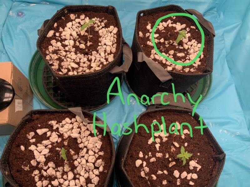 C5808110-040E-4488-852A-7D52B4A2D36A