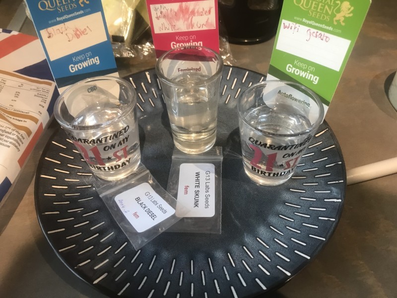 47E85D89-823D-4DCE-860A-2F58AF77FC10