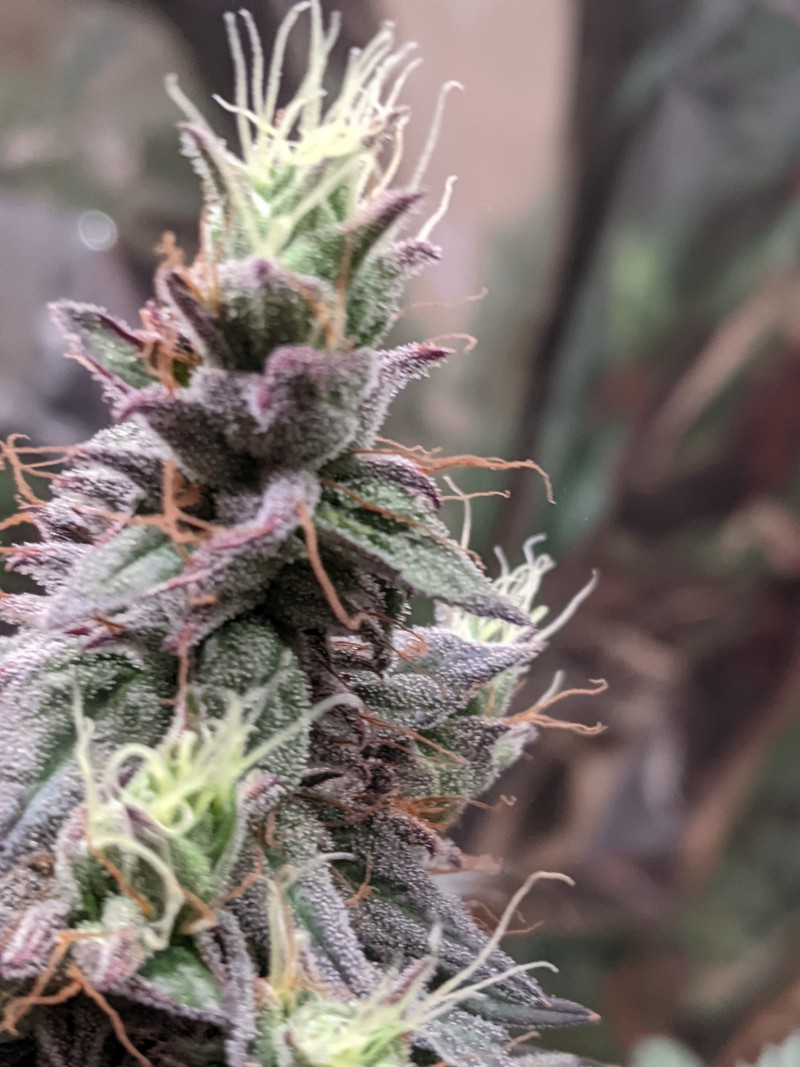 PXL_20210827_160554952