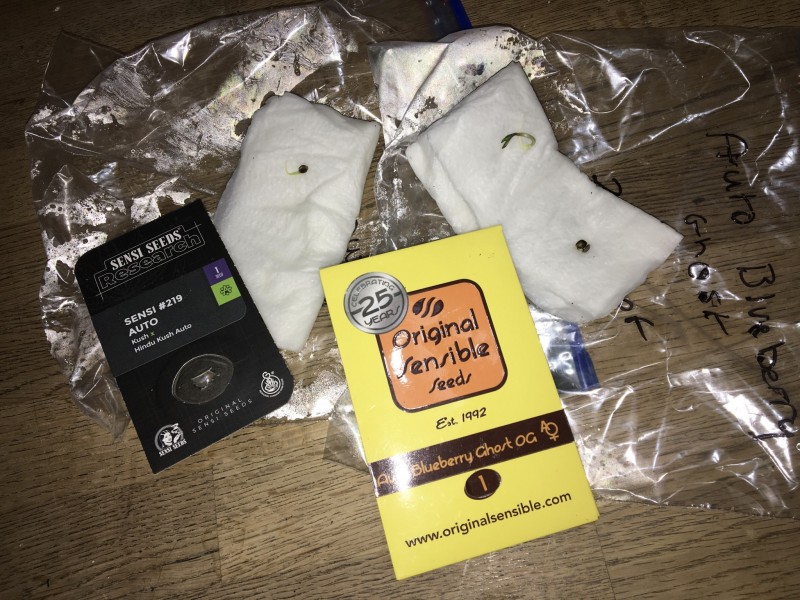 057C17F1-65B9-4AA5-A471-0CA3FFC8869C