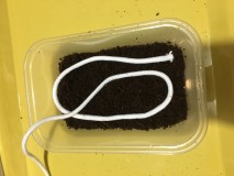 FCDD964A-A9C1-45D4-BBD2-6C87357F7778