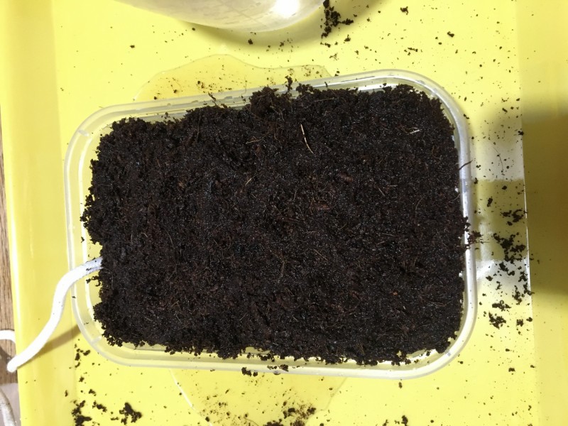 F20118D6-762E-45DF-BC25-1DCC40B0ADE1