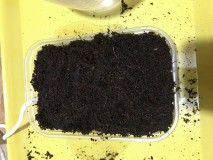 F20118D6-762E-45DF-BC25-1DCC40B0ADE1