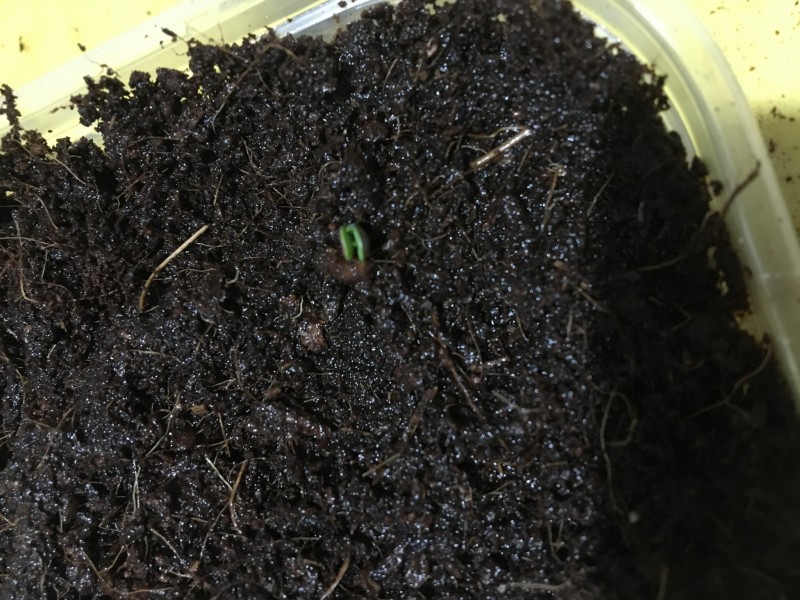 E47F1F45-0067-4A6E-87BB-BB5281C4D2E4