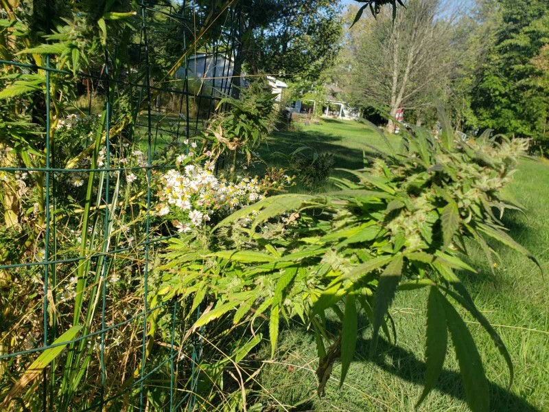 16329464486111820867639631646998