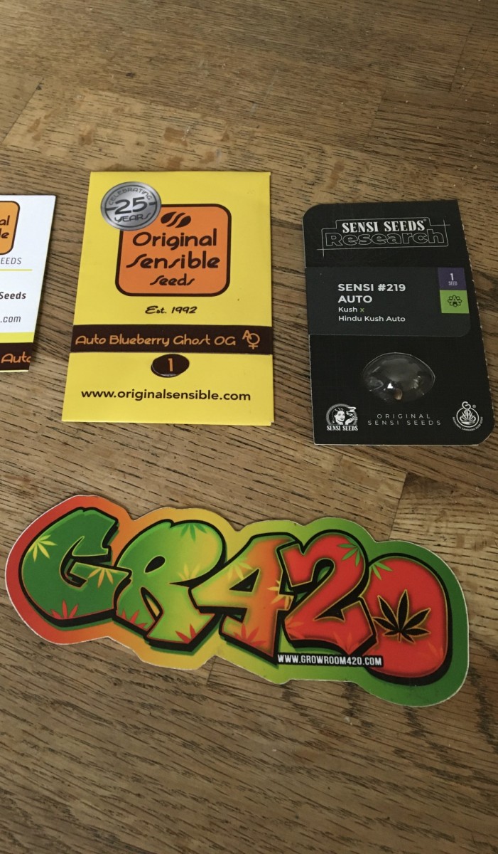 7345C6E3-7E27-41C6-9A01-6E76FDF9EADA