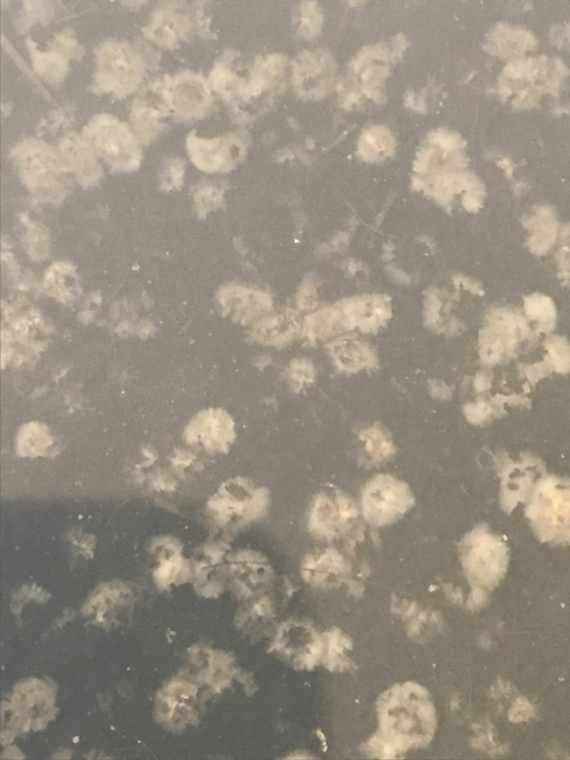 30E93B0F-DBE3-4586-BF33-ED1E2BC8E993