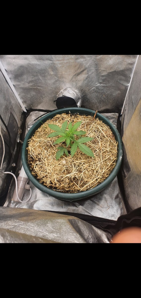 Screenshot_20210930-082610_Gallery