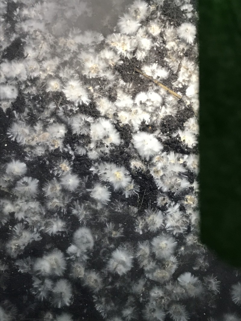 4A115793-C837-4FC7-B382-AC6D34C2D8CA