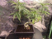 0C7BF7F7-3967-48B1-88E8-07FCBE2F2CD6