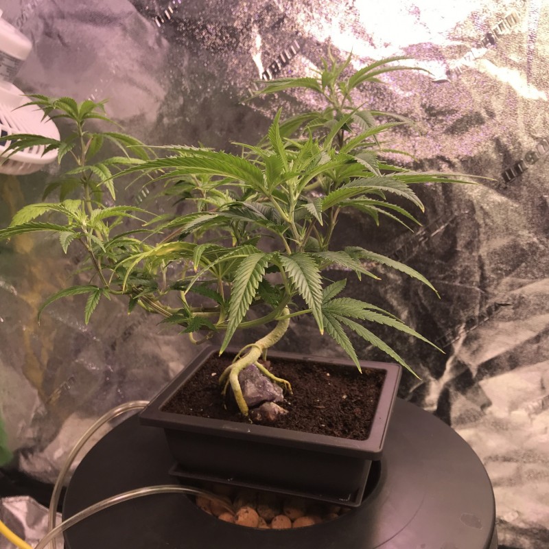 D9F37BAA-8EB8-408C-8C8B-17A1C472187D