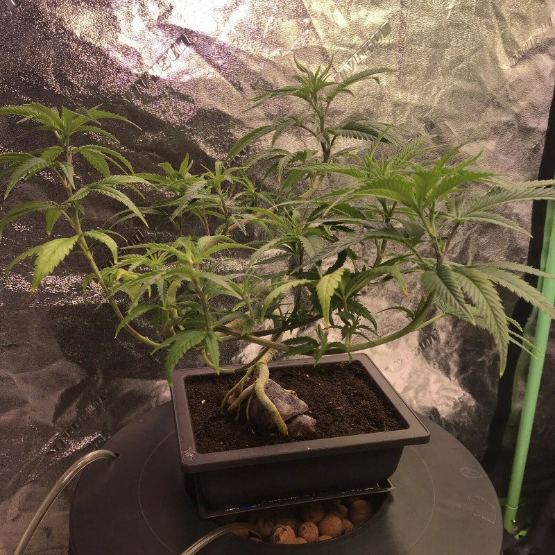 E28F6DAA-0A1F-4F2A-B616-94696FEB1765