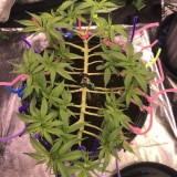 6792D42A-56F5-478C-992D-95CFE9F6B156