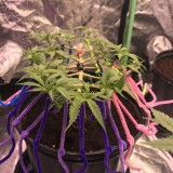 324EE9FD-60FF-476B-8074-0AC522E50C83