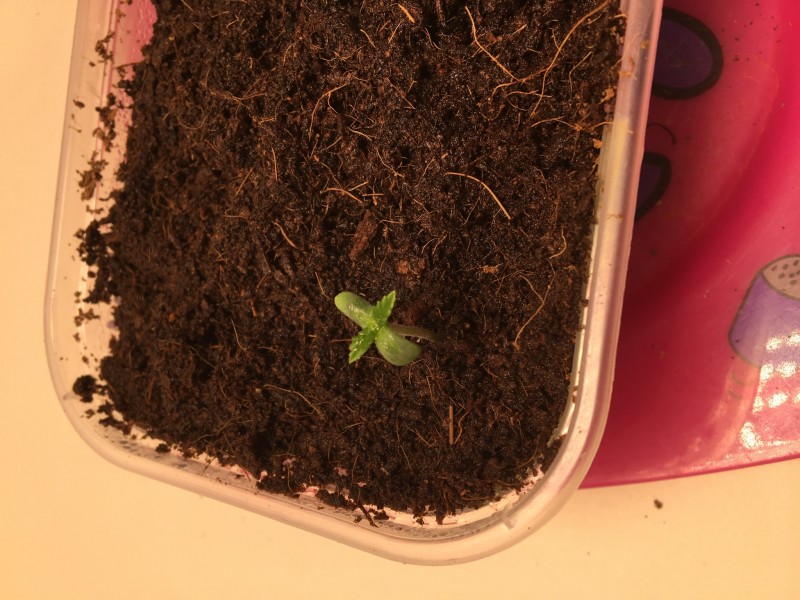 3CD364BE-E58F-48D2-9FE7-AD95A8AE2751