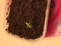 3CD364BE-E58F-48D2-9FE7-AD95A8AE2751