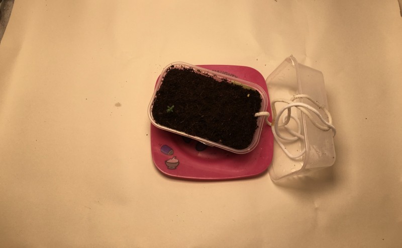 2B610448-9CFF-428A-A35A-52327DDE811C