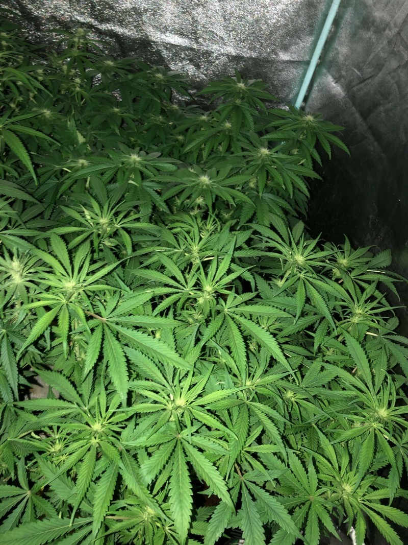 C2709729-1B7E-4CE3-A79B-FD74088544BE