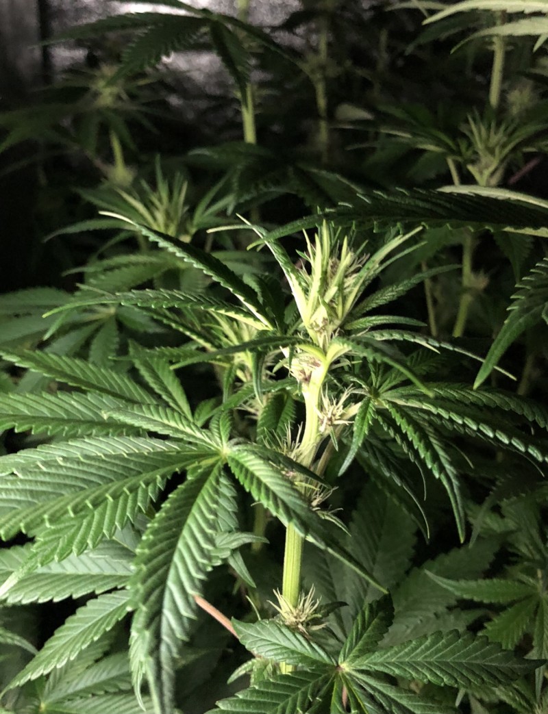 1465E012-A59F-4267-B17D-A08C2C0BCFE8