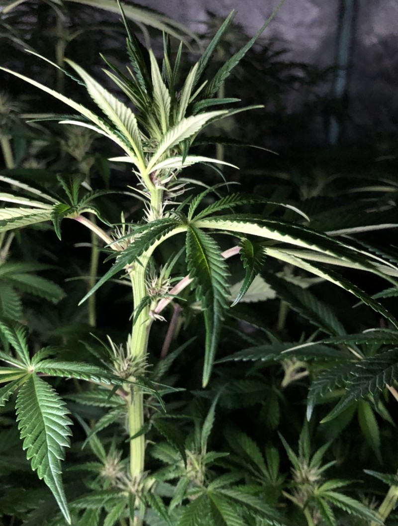 97EFB320-037D-425F-909C-23C2C161C00F