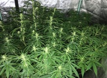 3F654AB1-61E6-44F4-B884-5A69ECEC0B10