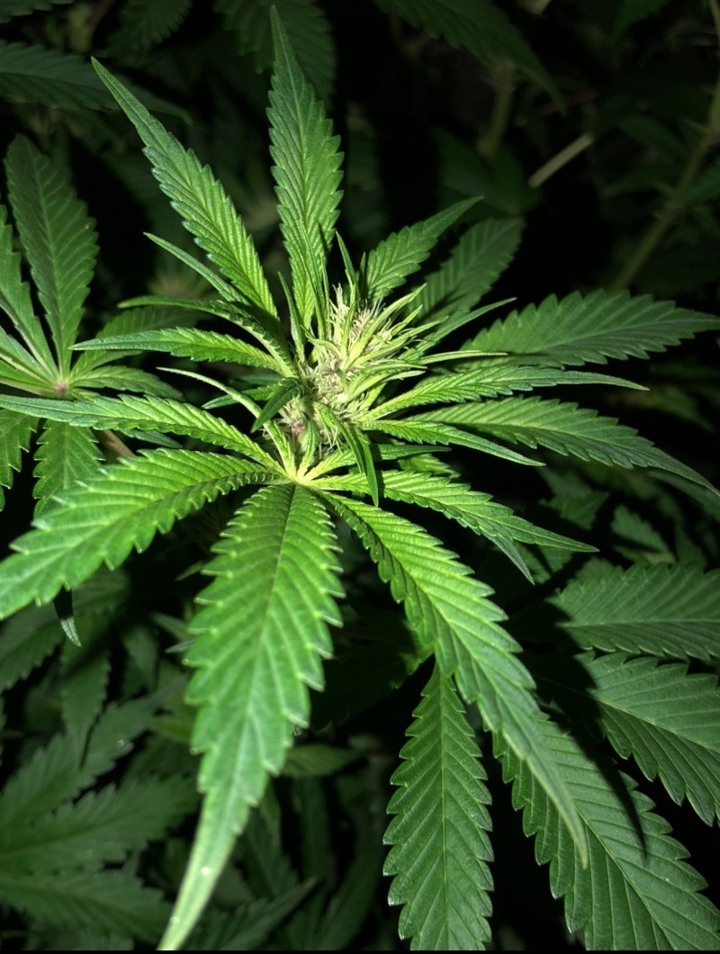 31AEBB91-2A60-48D3-BCBC-6FA0C089AD9D