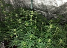 CB24F66A-0EA5-4493-BD02-9EF2E28A6034