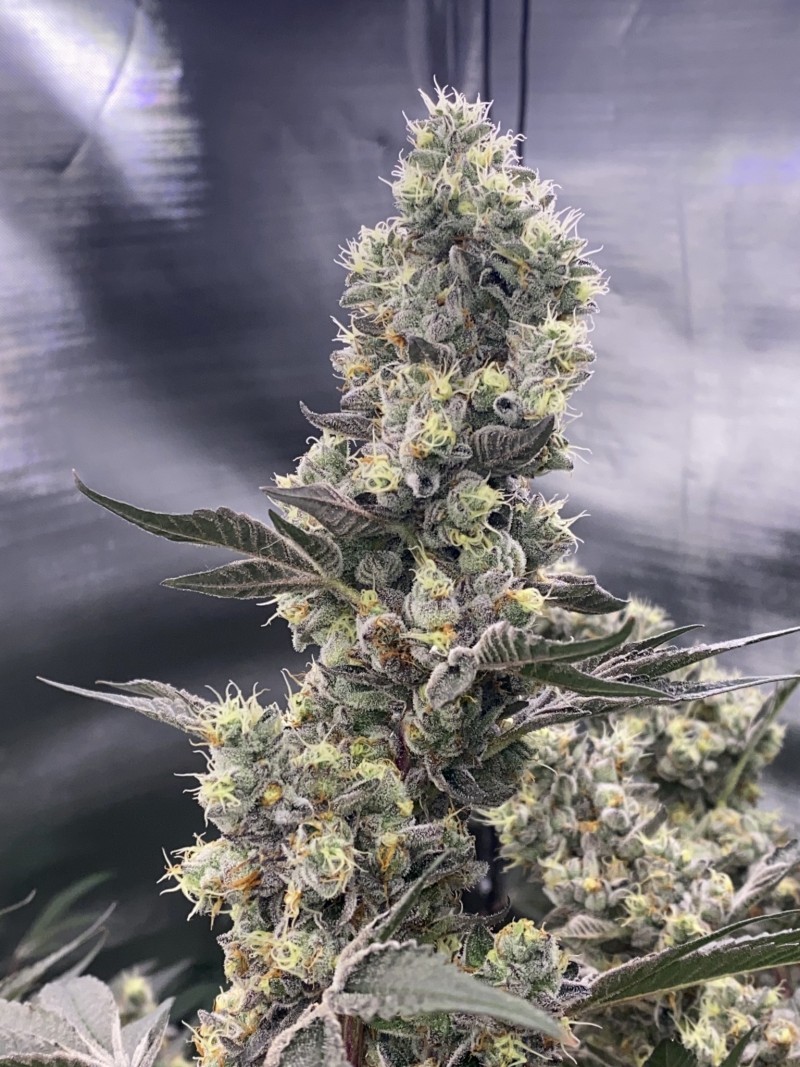 AE0E30A9-2432-4E89-AB78-889DF69D8789