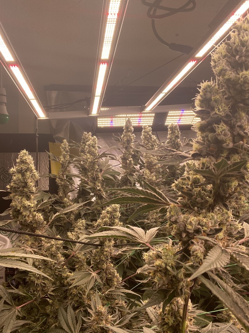 E67A7510-6977-4E19-9FCE-88E10579160C