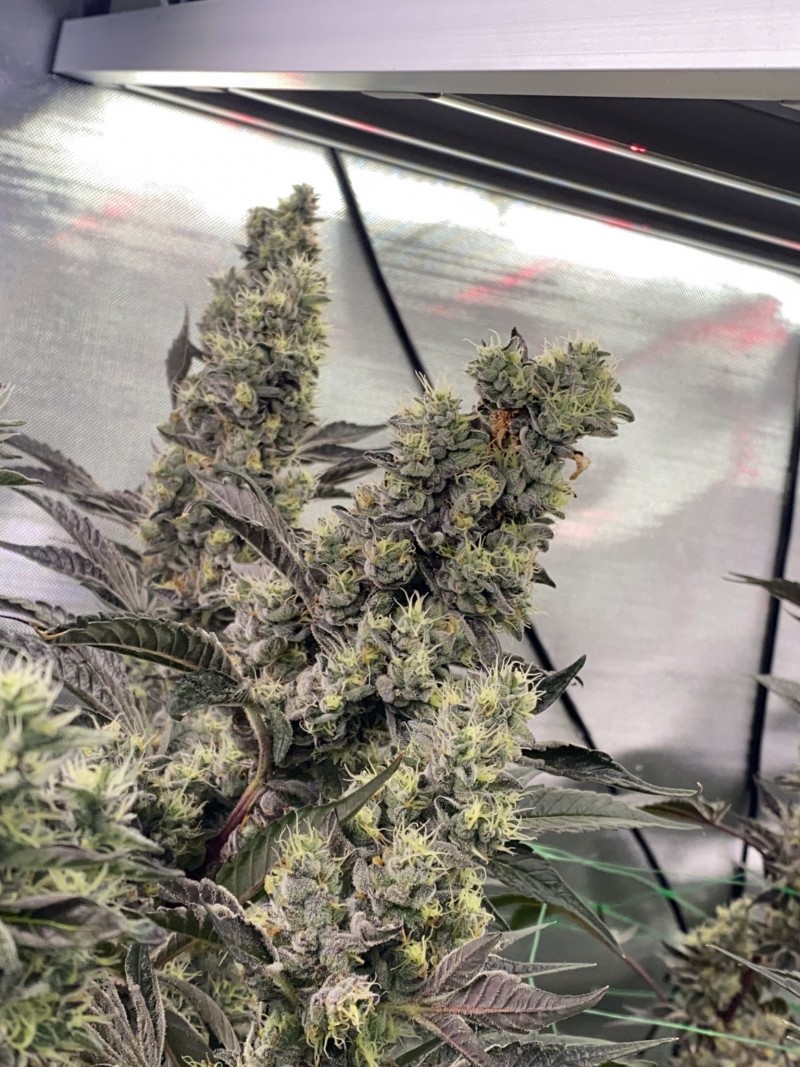 AAA24AD9-F5F3-4528-880E-D866FD14AA00