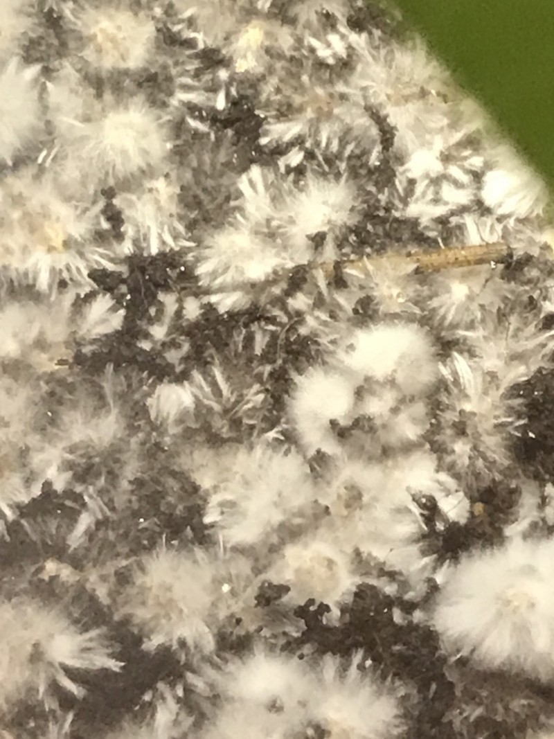 E66227D6-73E0-42F6-B362-70FC22777BAF